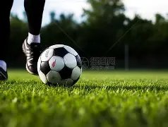 好博体育,资讯,好博体育官网,好博体育官网,好博体育直播,体育赛事直播,足球直播