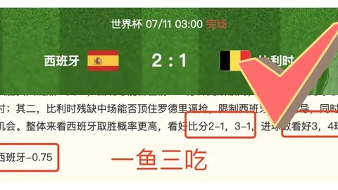 富勒姆瞄准贡萨洛，6000万欧买断传闻，皇马或仅出售半股份